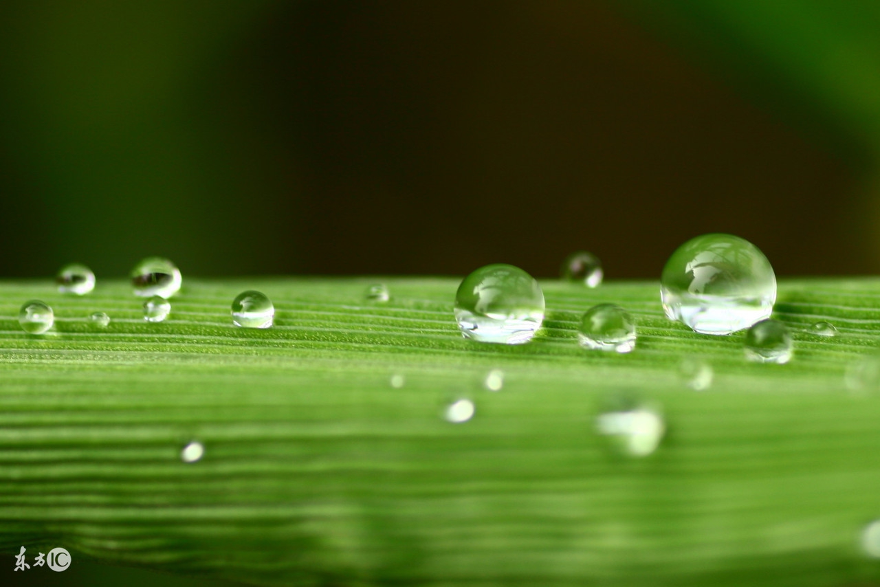 水资源费税改革,水费含水资源费改税