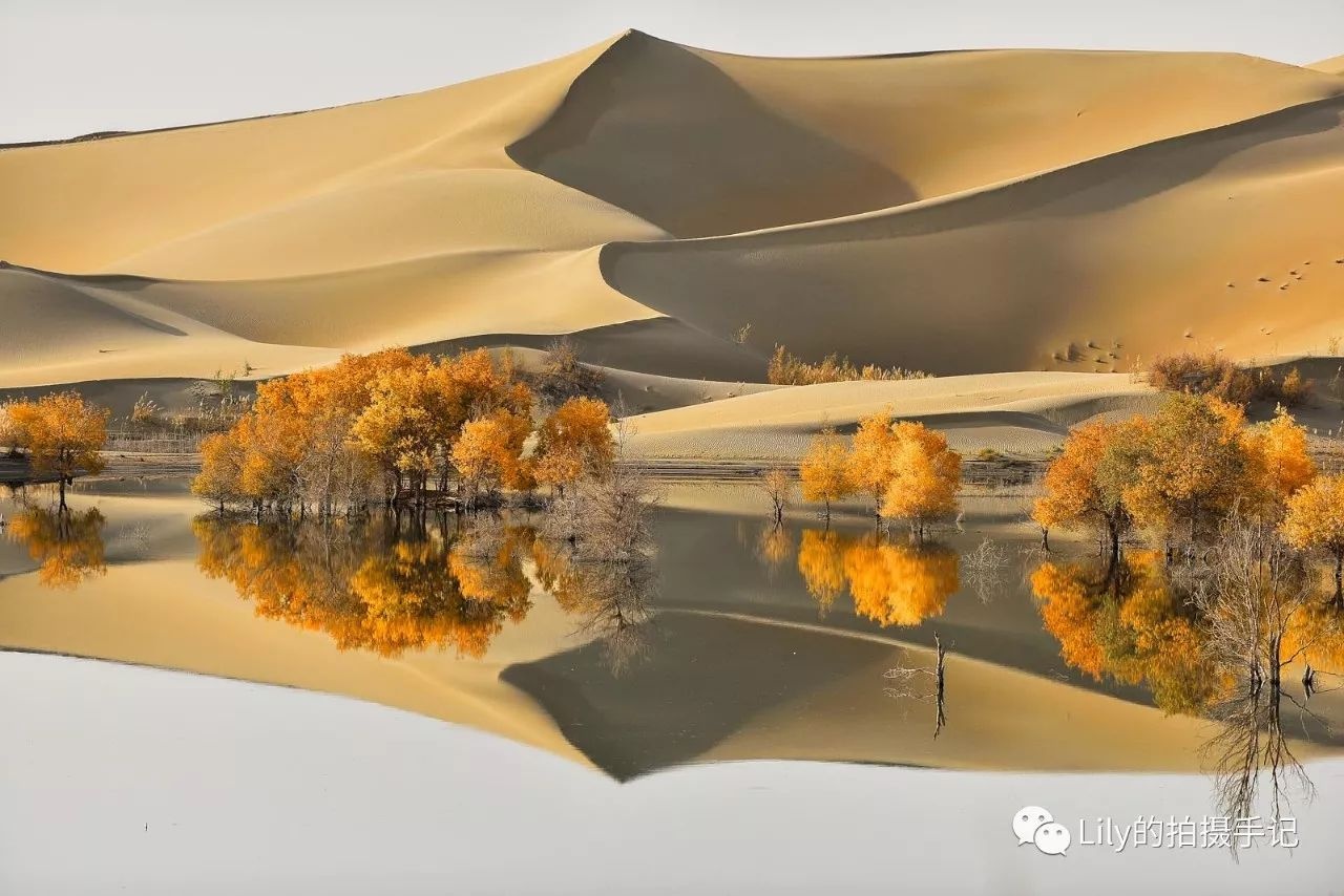 手机拍摄全景照片技巧大全,怎么用手机拍摄高清风景照片