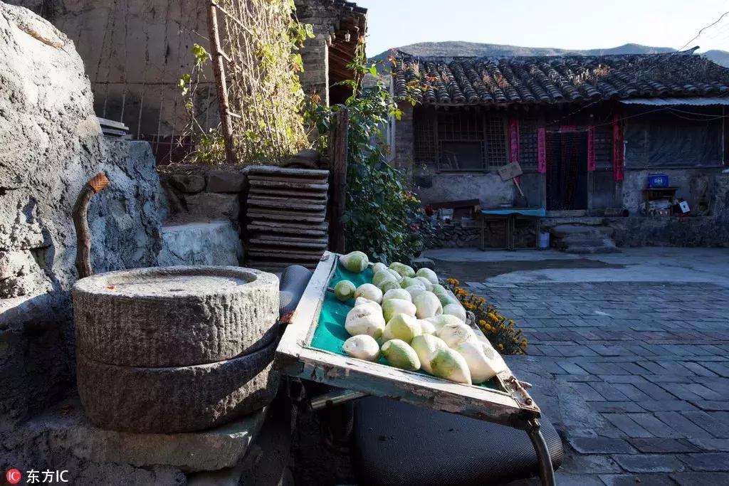 年底好消息来袭!大北京这些东西统统免费!还有精彩的活动等着你,不知道就亏大了!