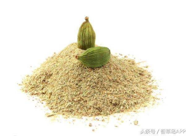 香料界第三贵重的香料,是健胃消食的绿色口气清新剂!