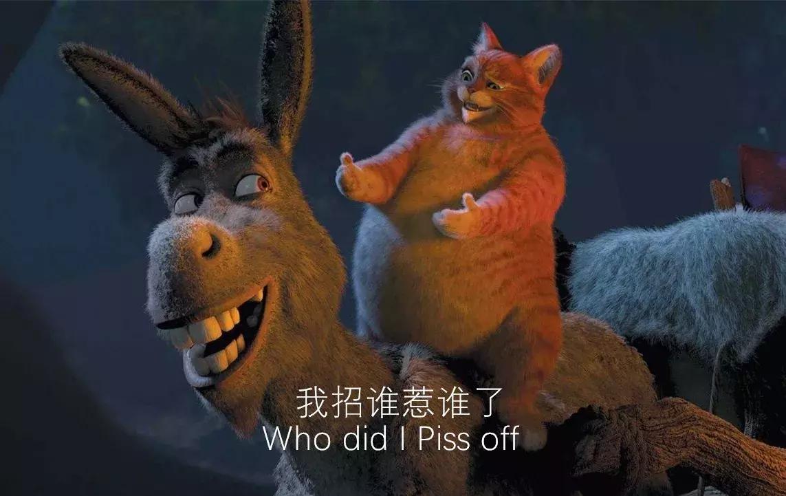 滴滴打驴被叫停怎么回事,滴滴打人事件怎么处理