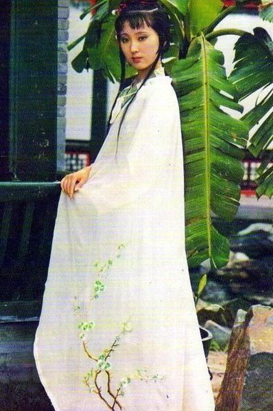 红楼梦中12金钗有没有袭人,红楼梦中12金钗指的是