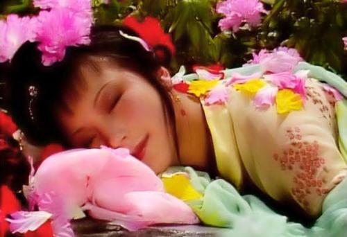 红楼梦中12金钗有没有袭人,红楼梦中12金钗指的是