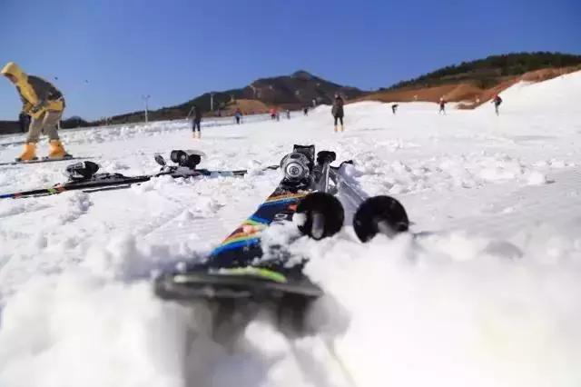青岛冬天一日游最佳景点一览表,青岛的冬天有多浪漫