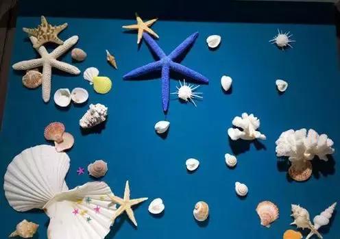 青岛冬天一日游最佳景点一览表,青岛的冬天有多浪漫