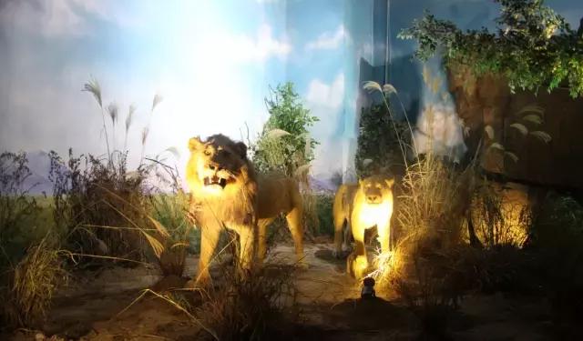 青岛冬天一日游最佳景点一览表,青岛的冬天有多浪漫