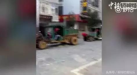 山东小伙用8台拖拉机迎亲,广西小伙骑摩托车迎亲