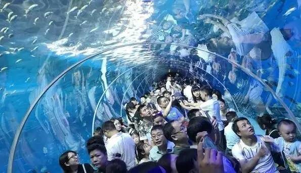 重庆汉海海洋公园团购,重庆汉海海洋公园