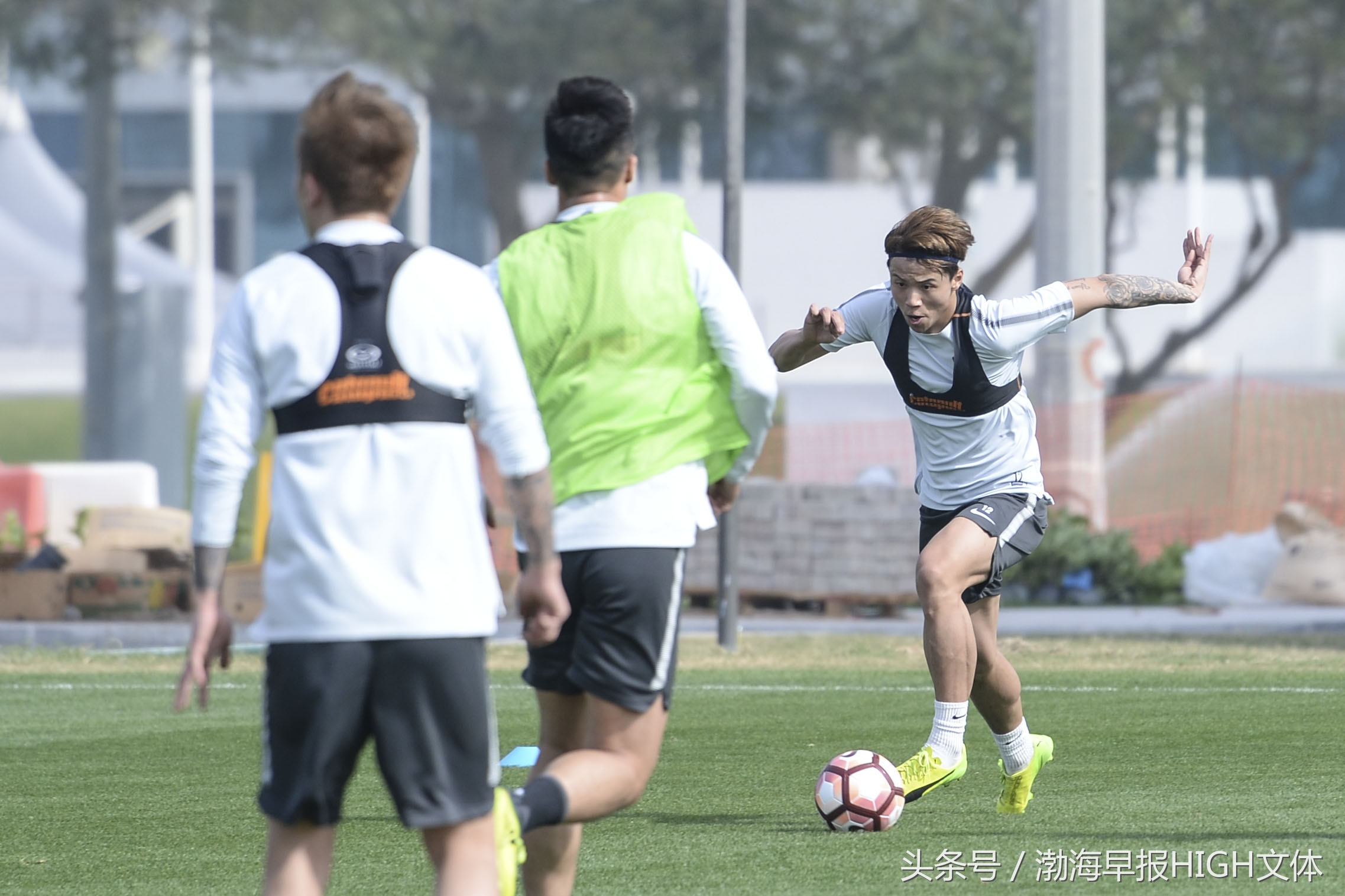 权健新后卫,权健主力