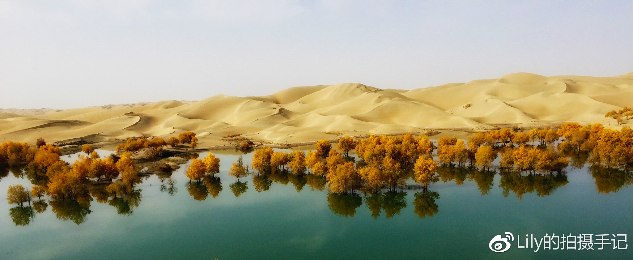 手机拍摄全景照片技巧大全,怎么用手机拍摄高清风景照片