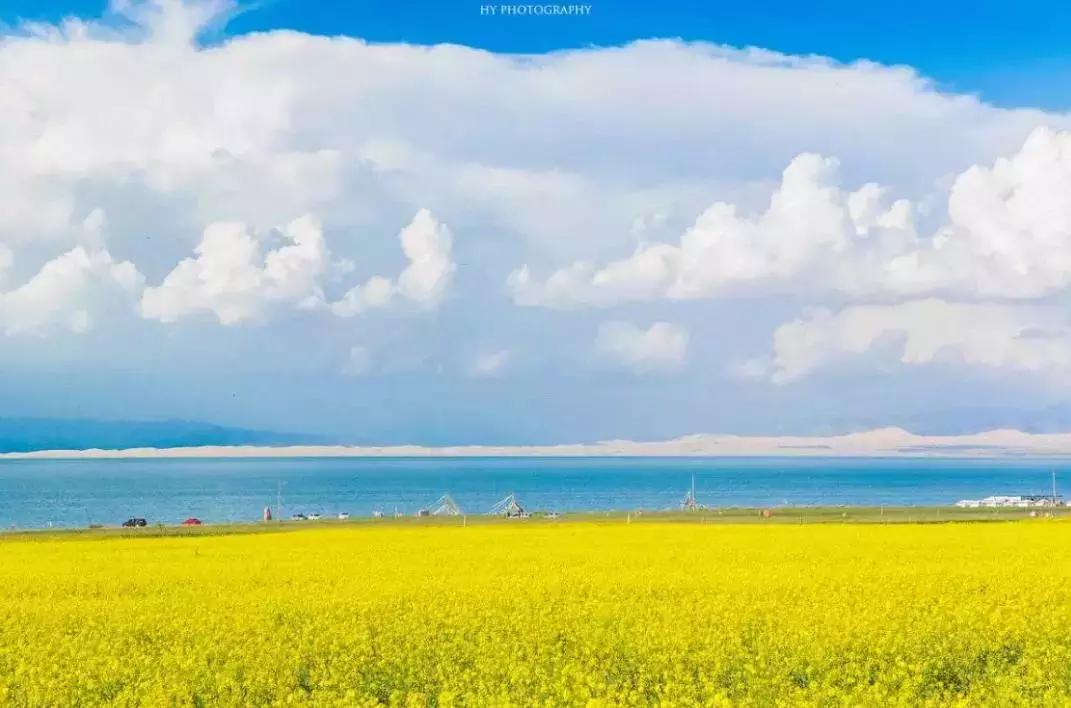 收藏一些自己喜欢的东西,收藏起来你一定用得到