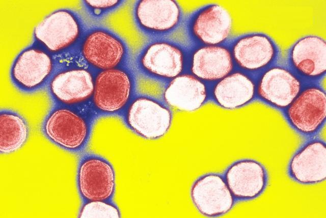 每天群发1万个qq群引流方法,qq如何引流被动加好友