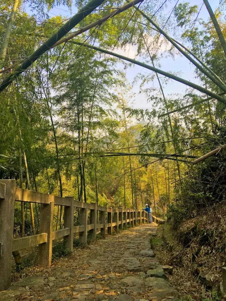浙江适合旅居的地方,浙江宜居之地