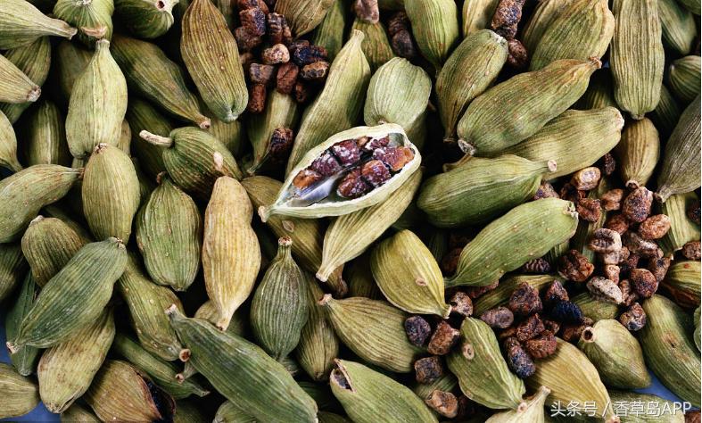 香料界第三贵重的香料,是健胃消食的绿色口气清新剂!