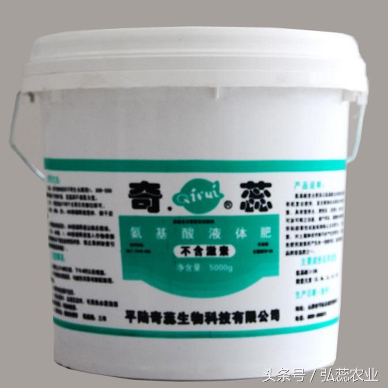 触手生春的释义,触手生春指什么生肖