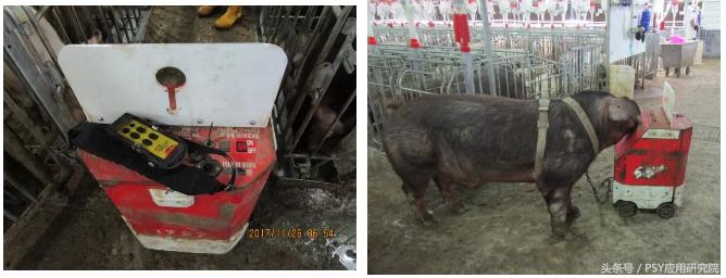 猪场测氨器,猪场化验仪器