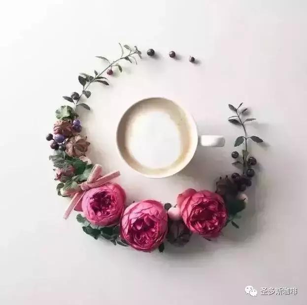 治愈系鲜花,最强治愈系