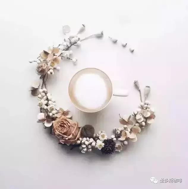 治愈系鲜花,最强治愈系