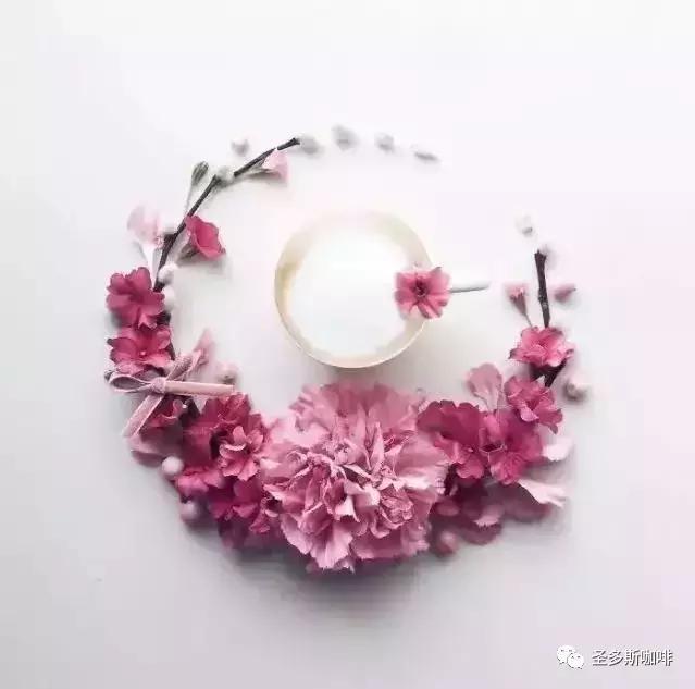 治愈系鲜花,最强治愈系