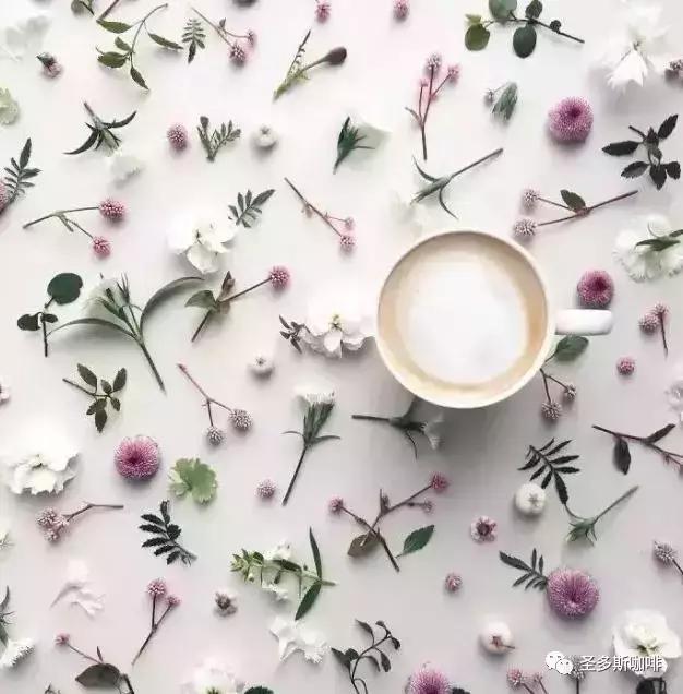 治愈系鲜花,最强治愈系