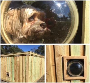 别让贫穷限制了你的想象力：2018宠物产品选品指南