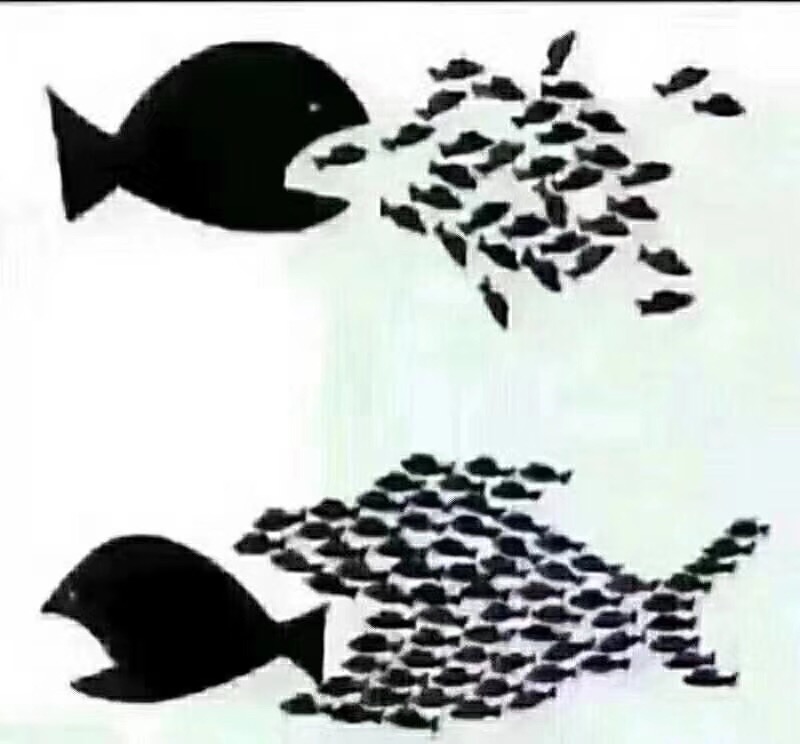 外贸业务员哪个行业最好,深圳外贸业务员生存现状