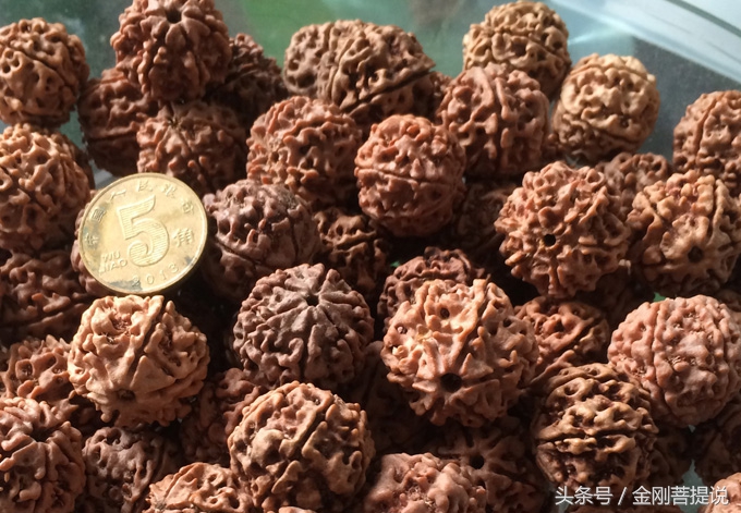 金刚好的还是坏的,金刚菩提爆肉和超肉有什么区别