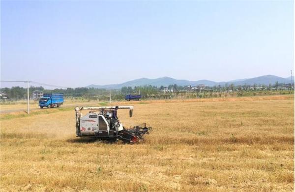 江宁溪田田园综合体,南京田园综合体