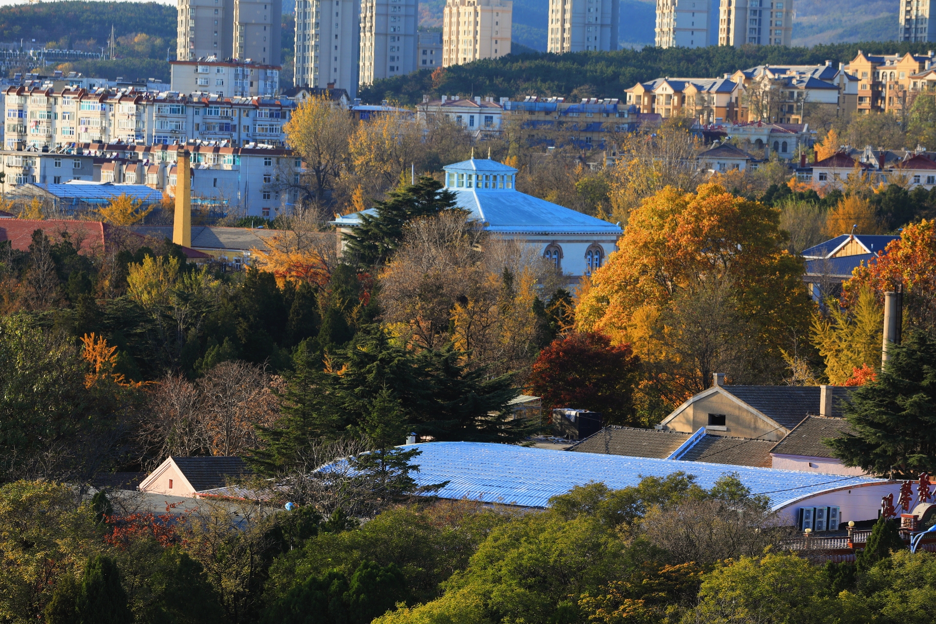 爱上旅顺这座城,爱上大连这座城市