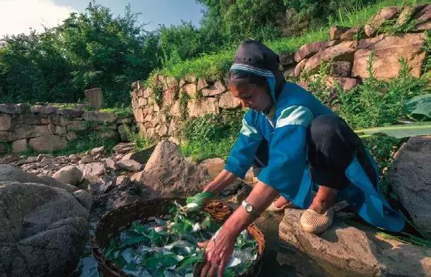 血泪召唤,血泪呼唤