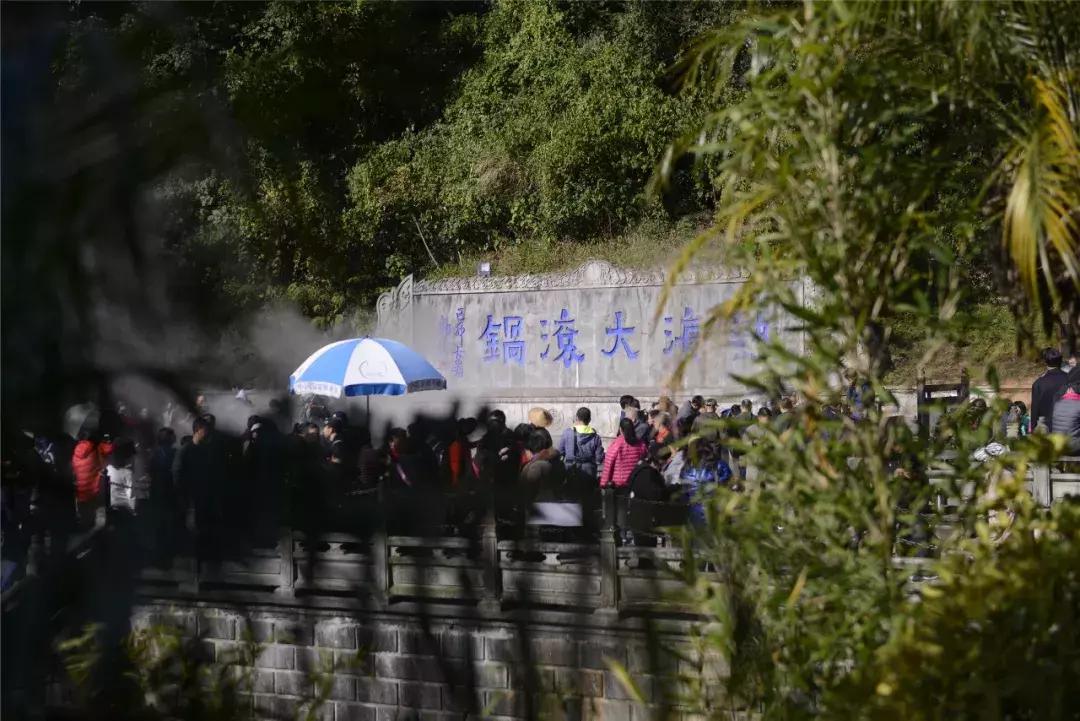 龙润茶加盟官网,龙润茶加盟视频