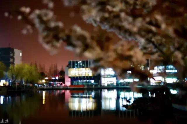 我骄傲，我是一名南森人！