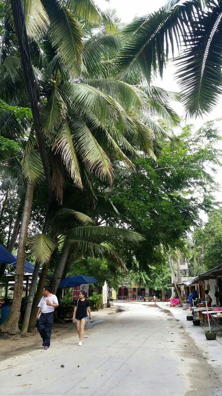 生日礼物女儿6-10岁,海南旅游送长辈礼物