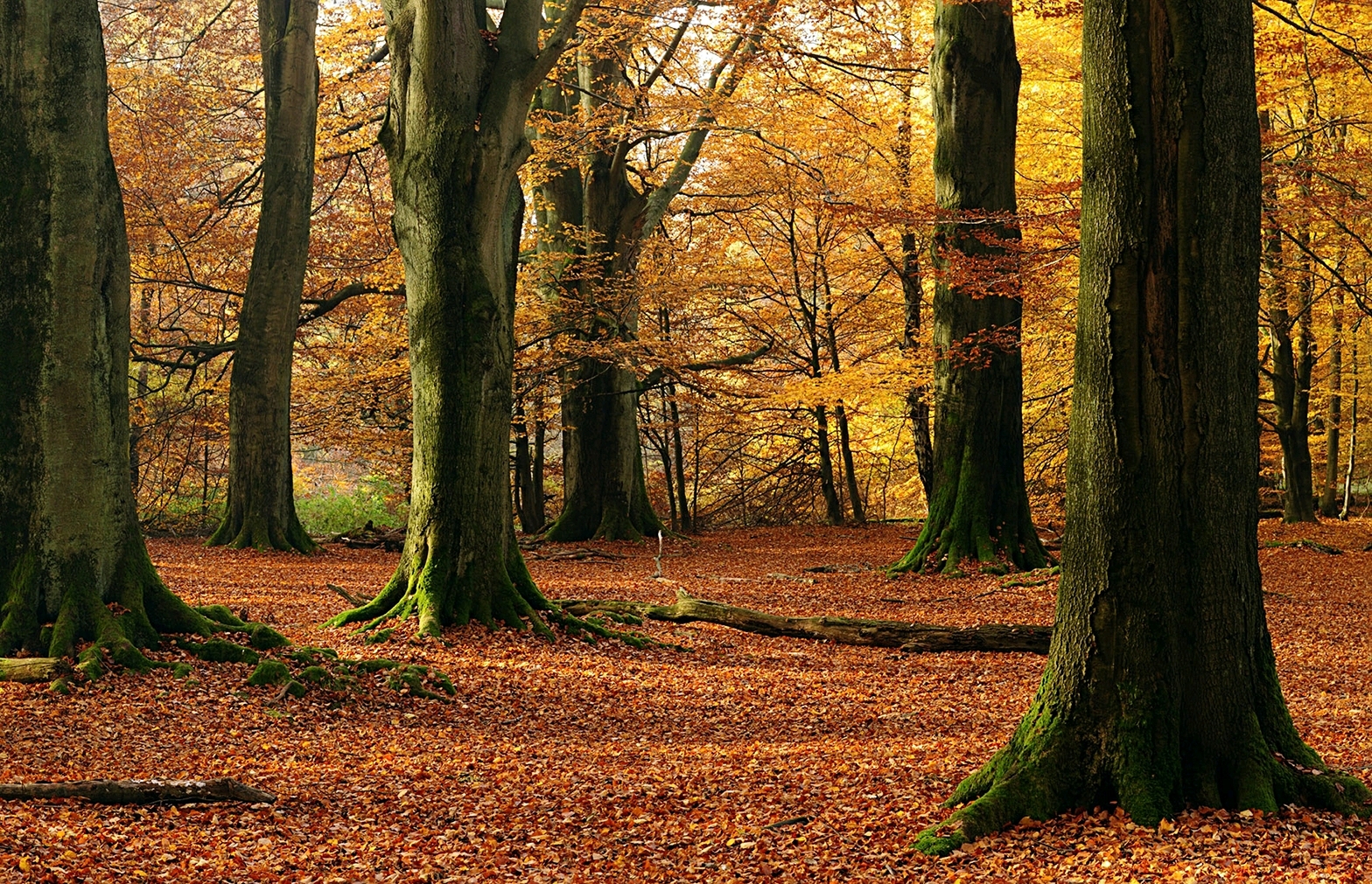 睡不着看看这几句话句句入心,当你晚上睡不着时打开看看