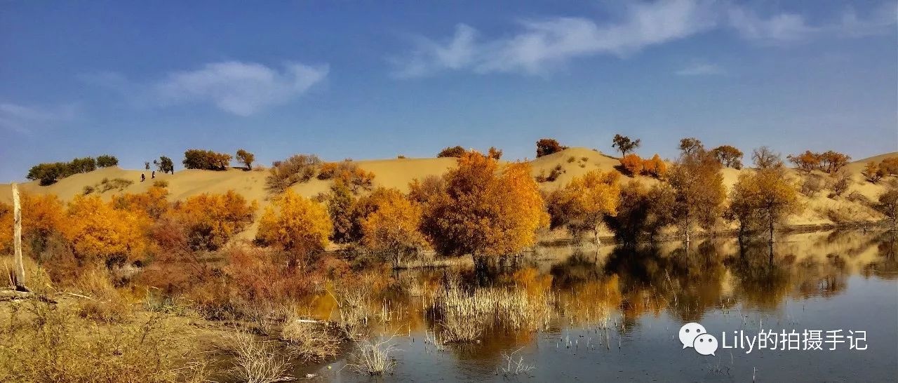 手机拍摄全景照片技巧大全,怎么用手机拍摄高清风景照片