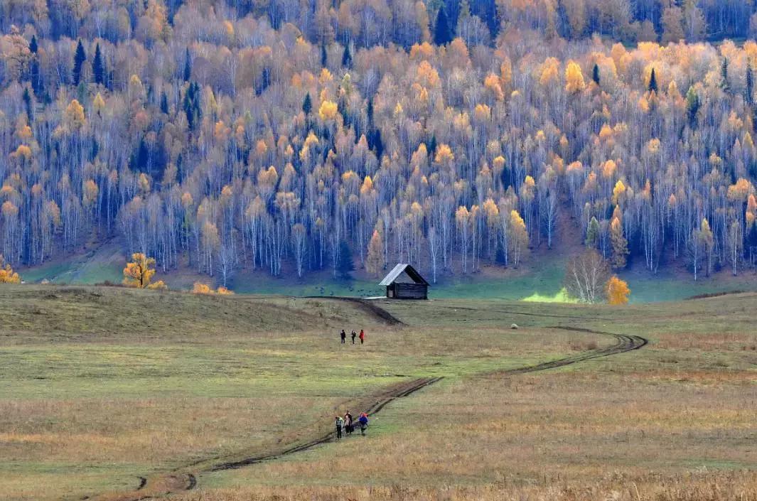 收藏一些自己喜欢的东西,收藏起来你一定用得到