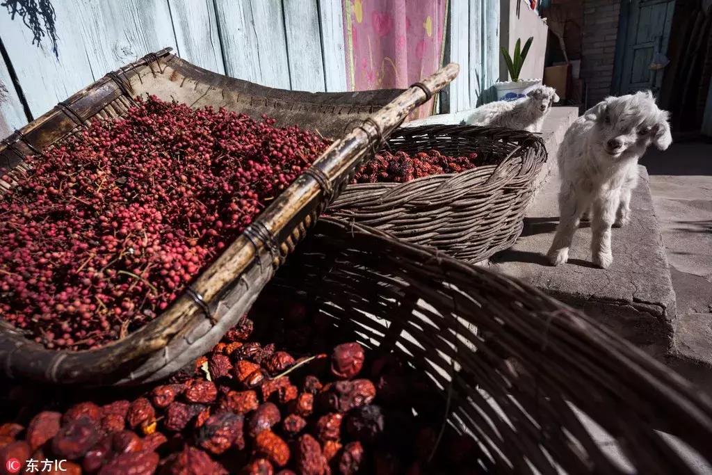 年底好消息来袭!大北京这些东西统统免费!还有精彩的活动等着你,不知道就亏大了!