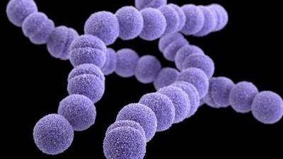 就医搜｜潮湿的环境会诱发风湿热吗？风湿热有哪些症状？