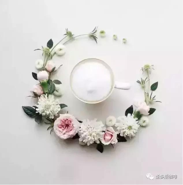 治愈系鲜花,最强治愈系