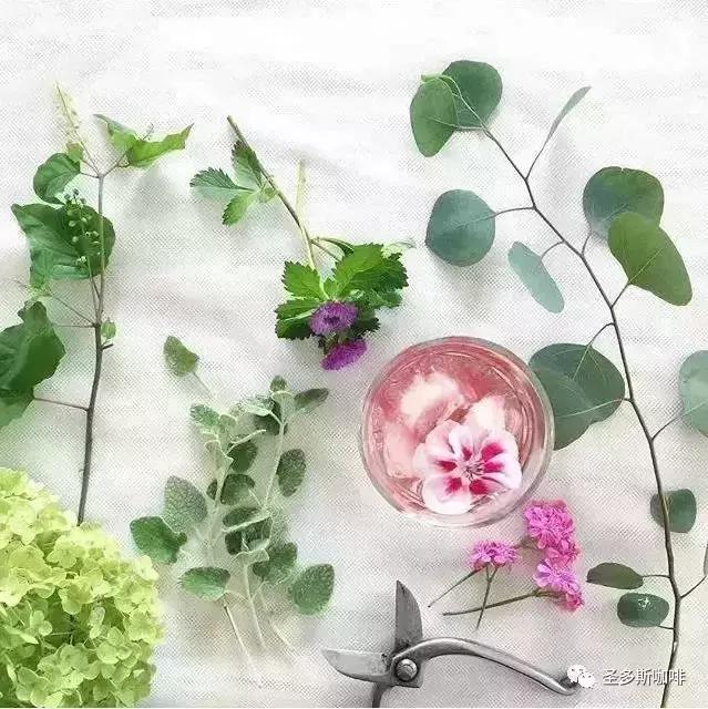 治愈系鲜花,最强治愈系