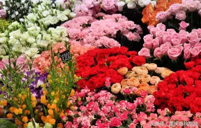 同事伴手礼送什么最合适,适合送同事的伴手礼