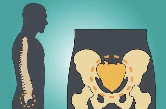 海底轮和生殖轮的连接,太阳轮和生殖轮