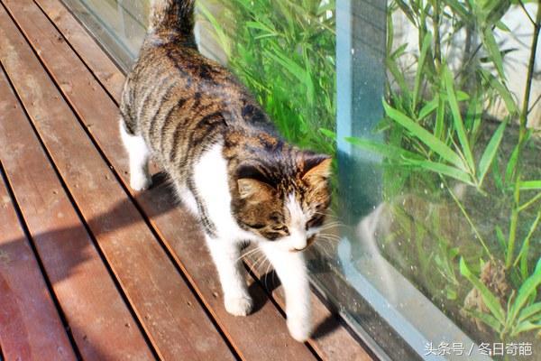 大连最美海边咖啡,大连海边最美咖啡馆