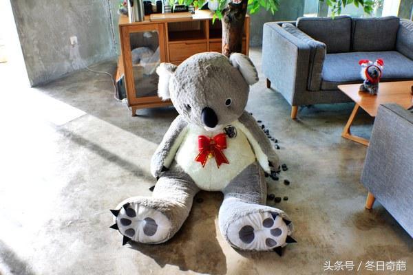 大连最美海边咖啡,大连海边最美咖啡馆