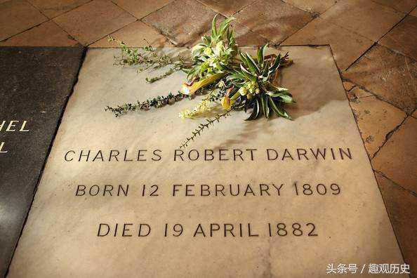 达尔文进化论是标准的吗,达尔文进化论三大来源