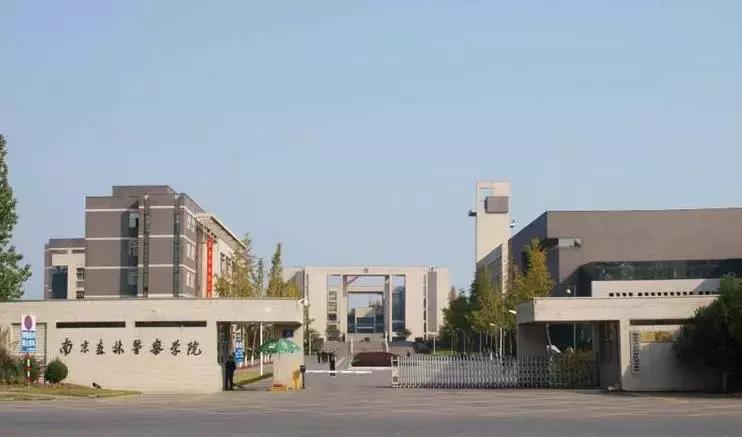 我骄傲，我是一名南森人！