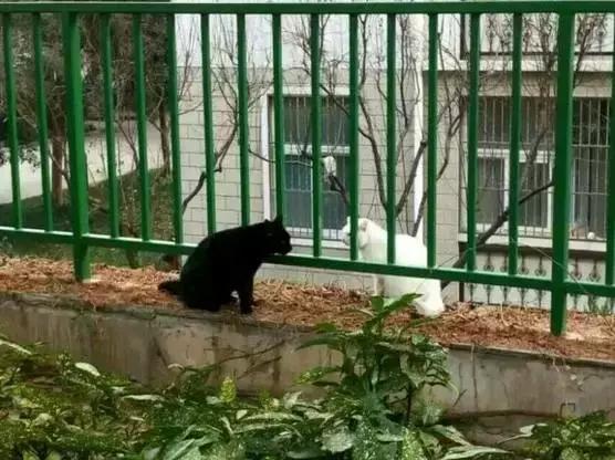 我骄傲，我是一名南森人！