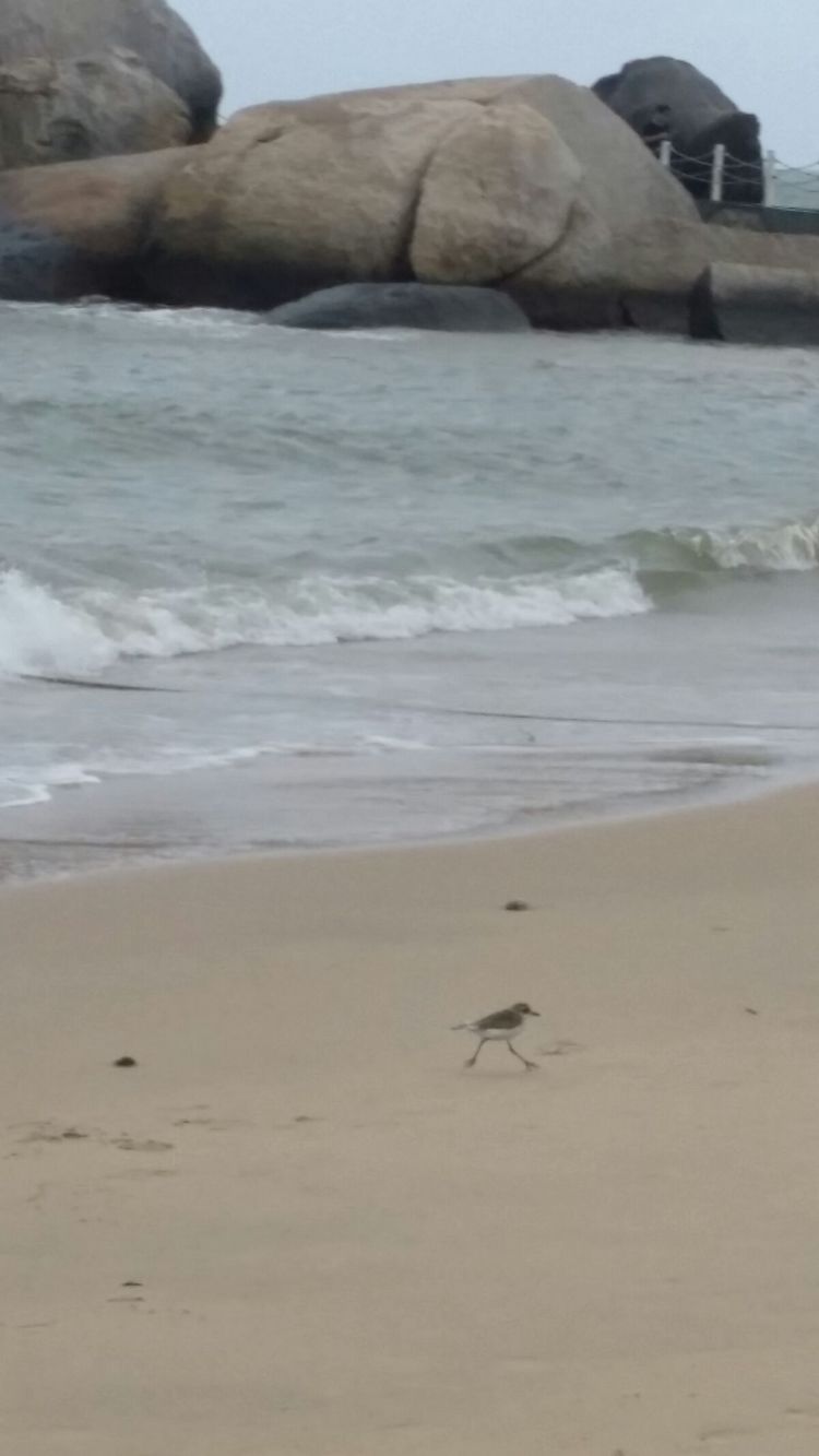 生日礼物女儿6-10岁,海南旅游送长辈礼物
