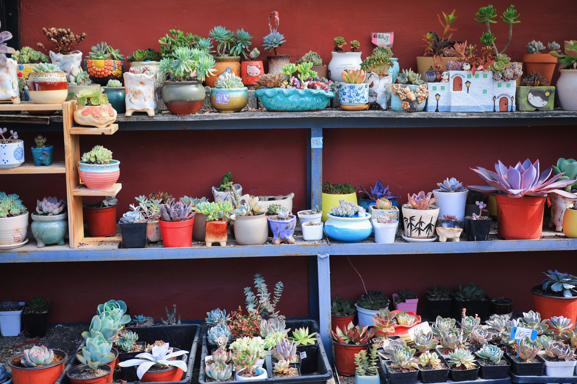 爱上旅顺这座城,爱上大连这座城市