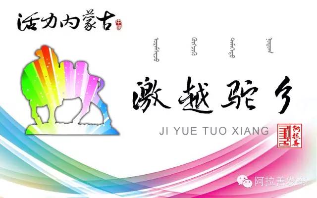 蒙古阿拉善肉苁蓉,阿拉善苁蓉生长在哪儿